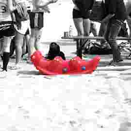 bartenbeach 2018