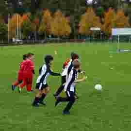 tv jahn 08.10.2022