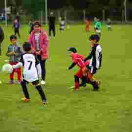 tv jahn 08.10.2022