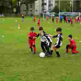 tv jahn 08.10.2022