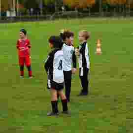tv jahn 08.10.2022