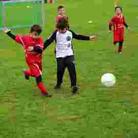tv jahn 08.10.2022