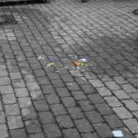 tag der offenen t&uuml;r