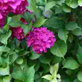 open air 2019