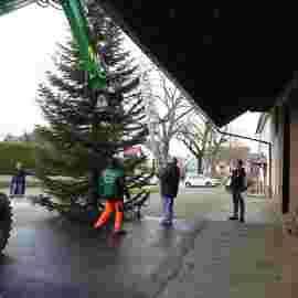 christbaum