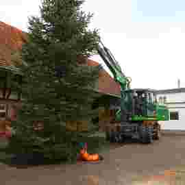 christbaum