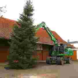 christbaum