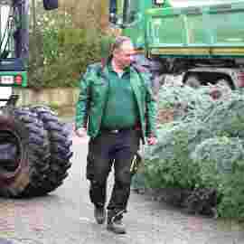 christbaum