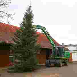 christbaum