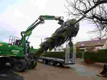 christbaum bilder