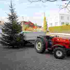 weihnacht 2025