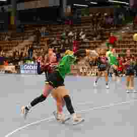 fa frauen 2 - hsg fridingen/m&uuml;hlheim 17.12.2023