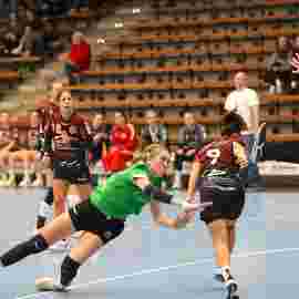 fa frauen 2 - hsg fridingen/m&uuml;hlheim 17.12.2023