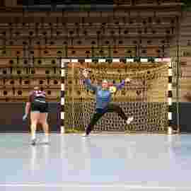 fa frauen 2 - hsg fridingen/m&uuml;hlheim 17.12.2023