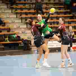 fa frauen 2 - hsg fridingen/m&uuml;hlheim 17.12.2023