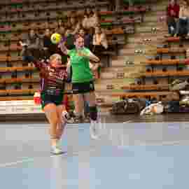 fa frauen 2 - hsg fridingen/m&uuml;hlheim 17.12.2023