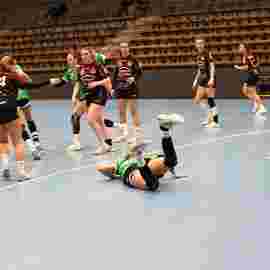 fa frauen 2 - hsg fridingen/m&uuml;hlheim 17.12.2023