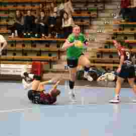 fa frauen 2 - hsg fridingen/m&uuml;hlheim 17.12.2023
