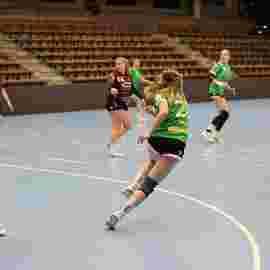 fa frauen 2 - hsg fridingen/m&uuml;hlheim 17.12.2023