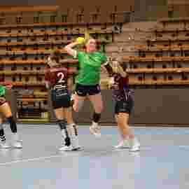 fa frauen 2 - hsg fridingen/m&uuml;hlheim 17.12.2023