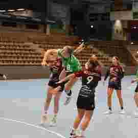 fa frauen 2 - hsg fridingen/m&uuml;hlheim 17.12.2023