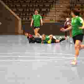 fa frauen 2 - hsg fridingen/m&uuml;hlheim 17.12.2023
