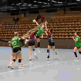 fa frauen 2 - hsg fridingen/m&uuml;hlheim 17.12.2023