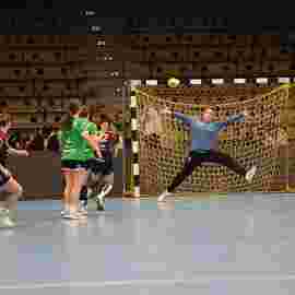 fa frauen 2 - hsg fridingen/m&uuml;hlheim 17.12.2023