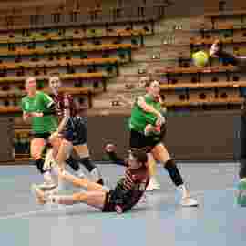 fa frauen 2 - hsg fridingen/m&uuml;hlheim 17.12.2023