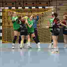 fa frauen 2 - hsg fridingen/m&uuml;hlheim 17.12.2023