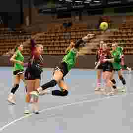 fa frauen 2 - hsg fridingen/m&uuml;hlheim 17.12.2023
