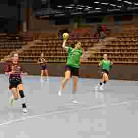 fa frauen 2 - hsg fridingen/m&uuml;hlheim 17.12.2023