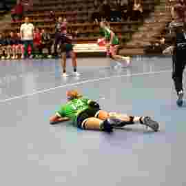 fa frauen 2 - hsg fridingen/m&uuml;hlheim 17.12.2023