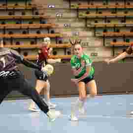 fa frauen 2 - hsg fridingen/m&uuml;hlheim 17.12.2023