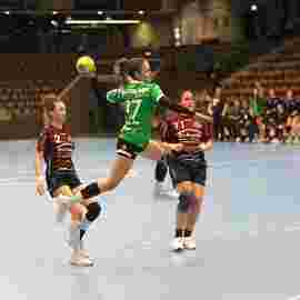 fa frauen 2 - hsg fridingen/m&uuml;hlheim 17.12.2023