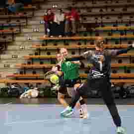 fa frauen 2 - hsg fridingen/m&uuml;hlheim 17.12.2023