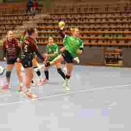 fa frauen 2 - hsg fridingen/m&uuml;hlheim 17.12.2023
