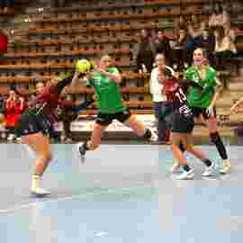 fa frauen 2 - hsg fridingen/m&uuml;hlheim 17.12.2023