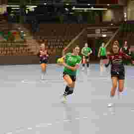 fa frauen 2 - hsg fridingen/m&uuml;hlheim 17.12.2023