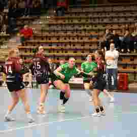 fa frauen 2 - hsg fridingen/m&uuml;hlheim 17.12.2023