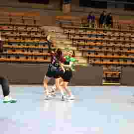 fa frauen 2 - hsg fridingen/m&uuml;hlheim 17.12.2023