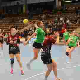 fa frauen 2 - hsg fridingen/m&uuml;hlheim 17.12.2023