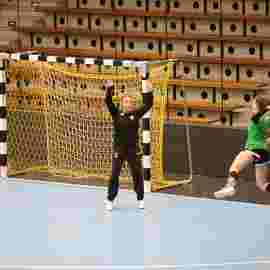 fa frauen 2 - hsg fridingen/m&uuml;hlheim 17.12.2023