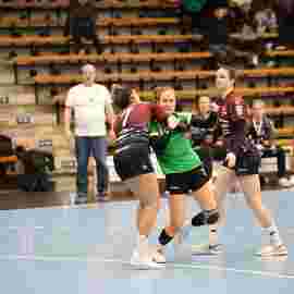 fa frauen 2 - hsg fridingen/m&uuml;hlheim 17.12.2023