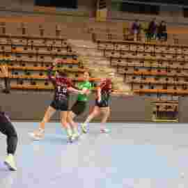 fa frauen 2 - hsg fridingen/m&uuml;hlheim 17.12.2023
