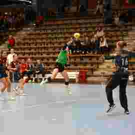fa frauen 2 - hsg fridingen/m&uuml;hlheim 17.12.2023