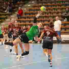 fa frauen 2 - hsg fridingen/m&uuml;hlheim 17.12.2023