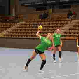 fa frauen 2 - hsg fridingen/m&uuml;hlheim 17.12.2023