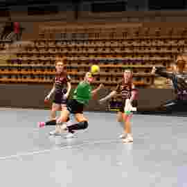 fa frauen 2 - hsg fridingen/m&uuml;hlheim 17.12.2023