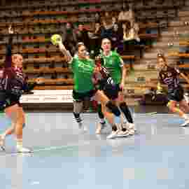 fa frauen 2 - hsg fridingen/m&uuml;hlheim 17.12.2023
